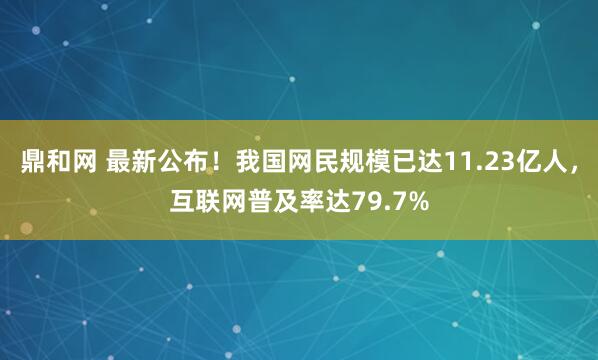 鼎和网 最新公布！我国网民规模已达11.23亿人，互联网普及率达79.7%