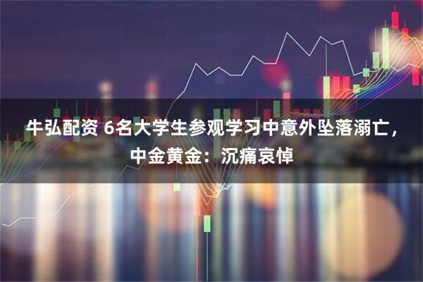 牛弘配资 6名大学生参观学习中意外坠落溺亡，中金黄金：沉痛哀悼