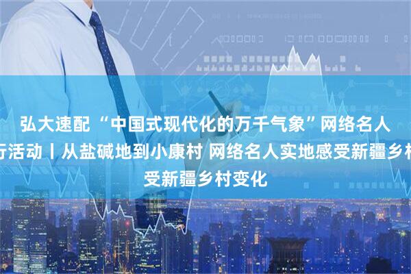 弘大速配 “中国式现代化的万千气象”网络名人新疆行活动丨从盐碱地到小康村 网络名人实地感受新疆乡村变化