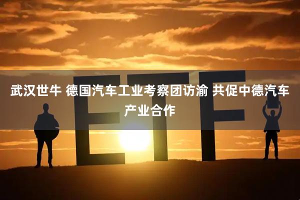 武汉世牛 德国汽车工业考察团访渝 共促中德汽车产业合作