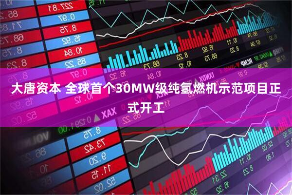 大唐资本 全球首个30MW级纯氢燃机示范项目正式开工