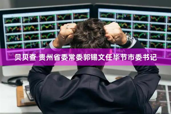 贝贝查 贵州省委常委郭锡文任毕节市委书记