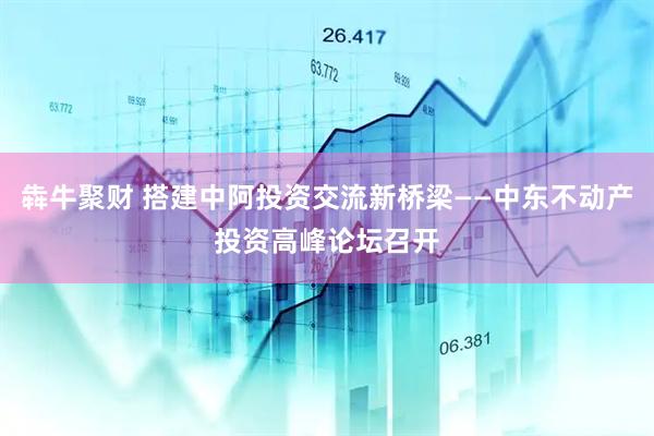 犇牛聚财 搭建中阿投资交流新桥梁——中东不动产投资高峰论坛召开